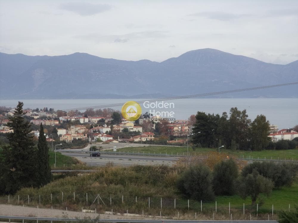 Μονοκατοικία στην Σελιανίτικα, Ερίνεο — Φωτογραφία 8 από 19