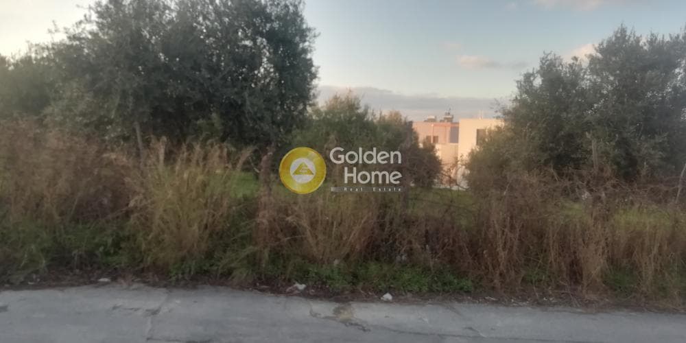 Οικόπεδο στην Βασιλείες, Αρχάνες — Φωτογραφία 4 από 6