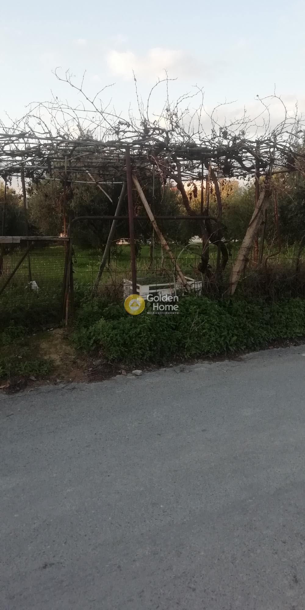 Οικόπεδο στην Βασιλείες, Αρχάνες — Φωτογραφία 5 από 6