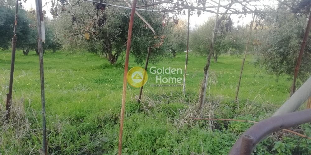 Οικόπεδο στην Βασιλείες, Αρχάνες — Φωτογραφία 2 από 6