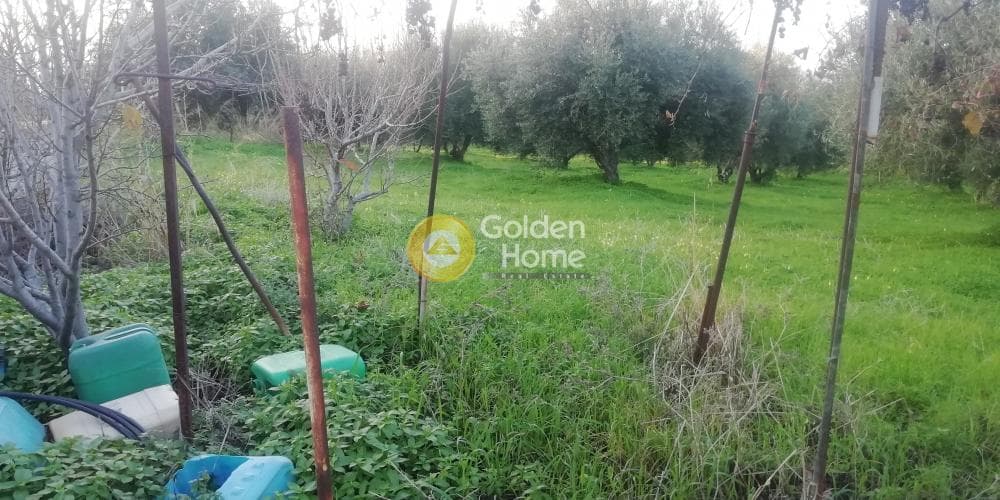 Οικόπεδο στην Βασιλείες, Αρχάνες — Φωτογραφία 3 από 6