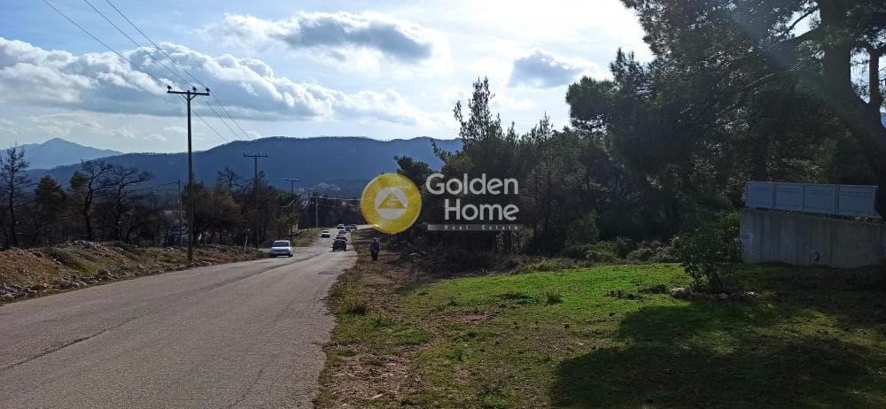 Building Plot in Agia Triada, Afidnes — Photo 2 of 7
