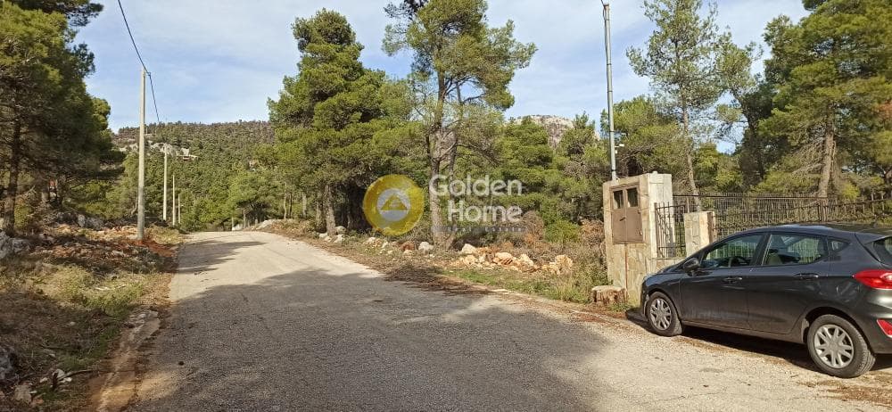 Building Plot in Agia Triada, Afidnes — Photo 6 of 7