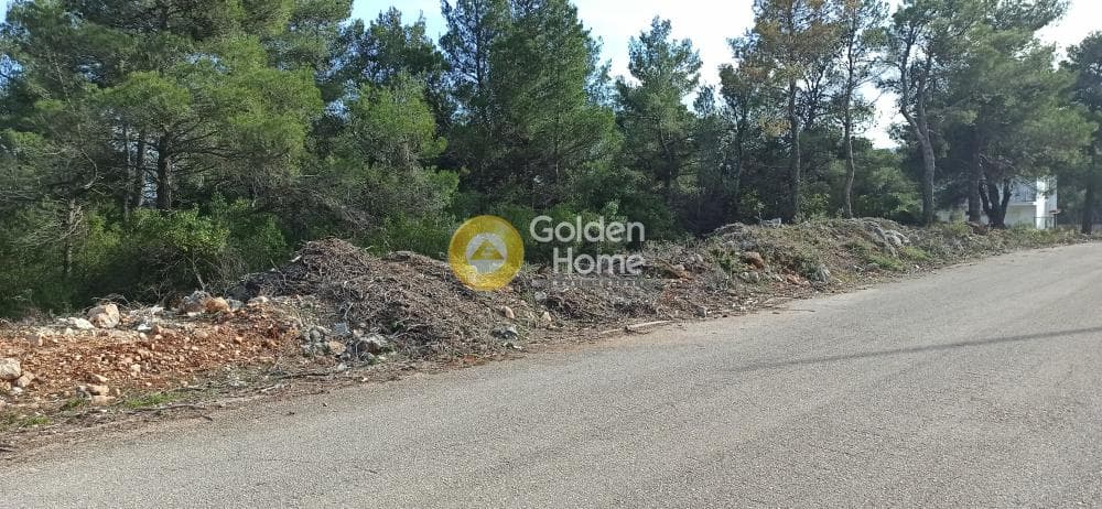 Building Plot in Agia Triada, Afidnes — Photo 1 of 7