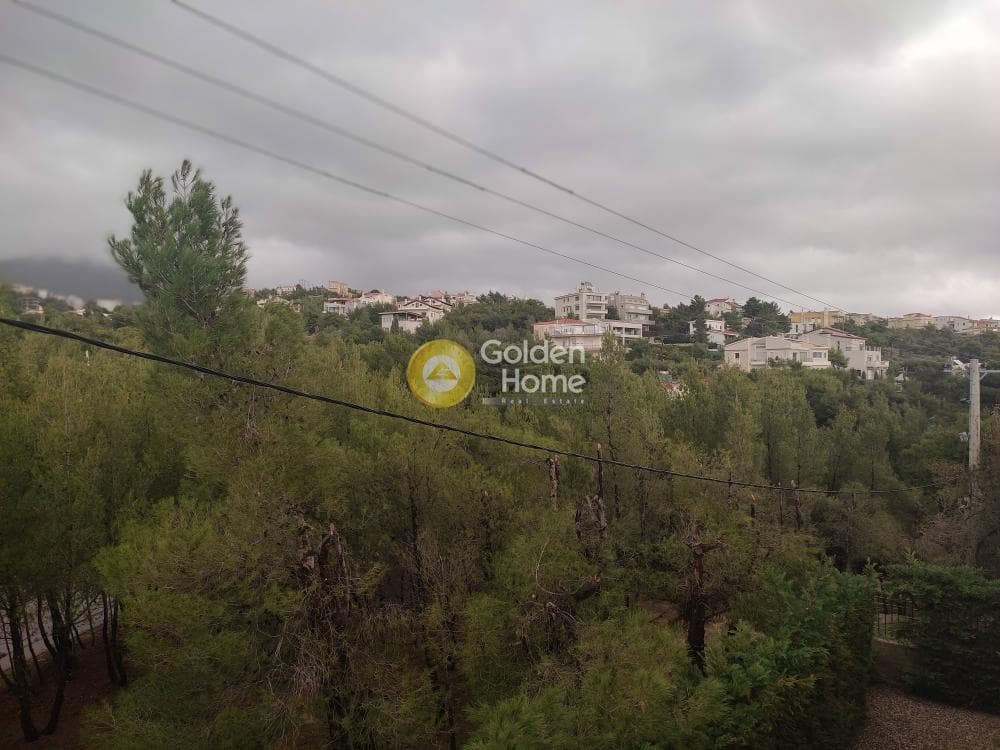 Οικόπεδο στην Δασαμάρι, Πικέρμι — Φωτογραφία 4 από 5