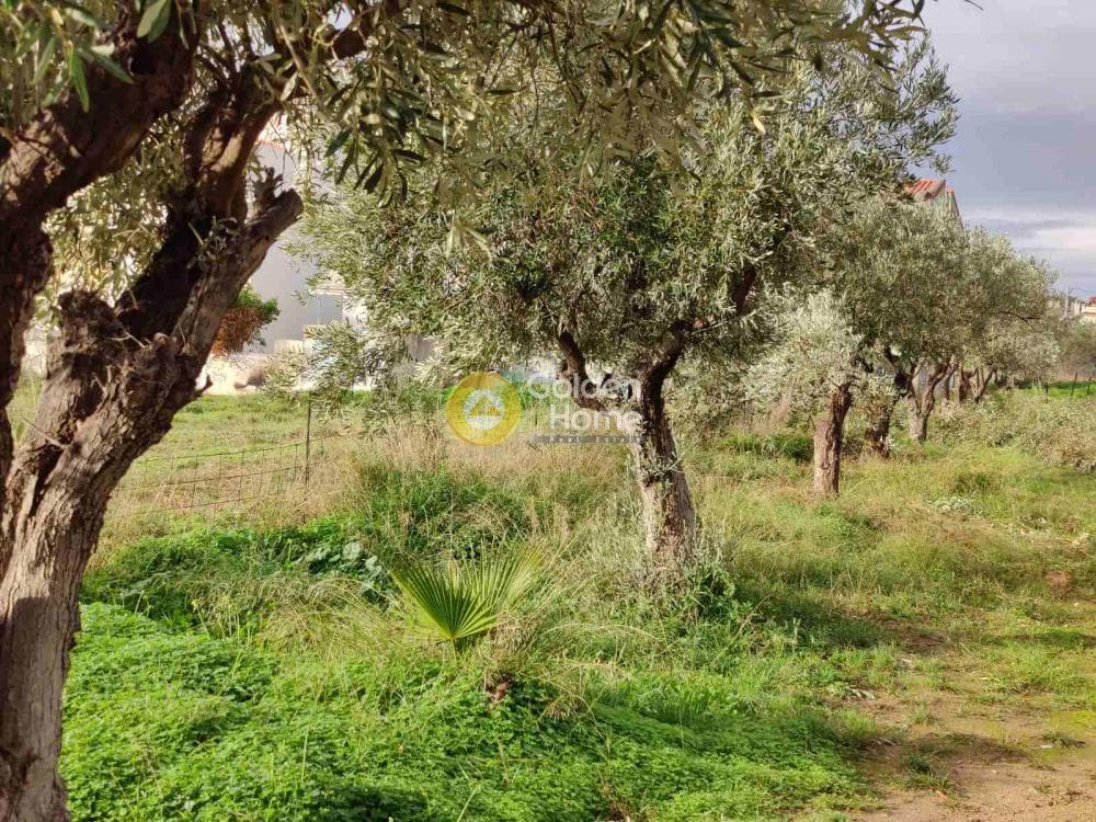 Building Plot in Agios Serafeim, Artemida (Loutsa) — Photo 2 of 7