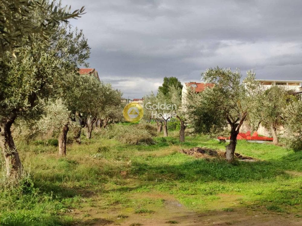Building Plot in Agios Serafeim, Artemida (Loutsa) — Photo 3 of 7