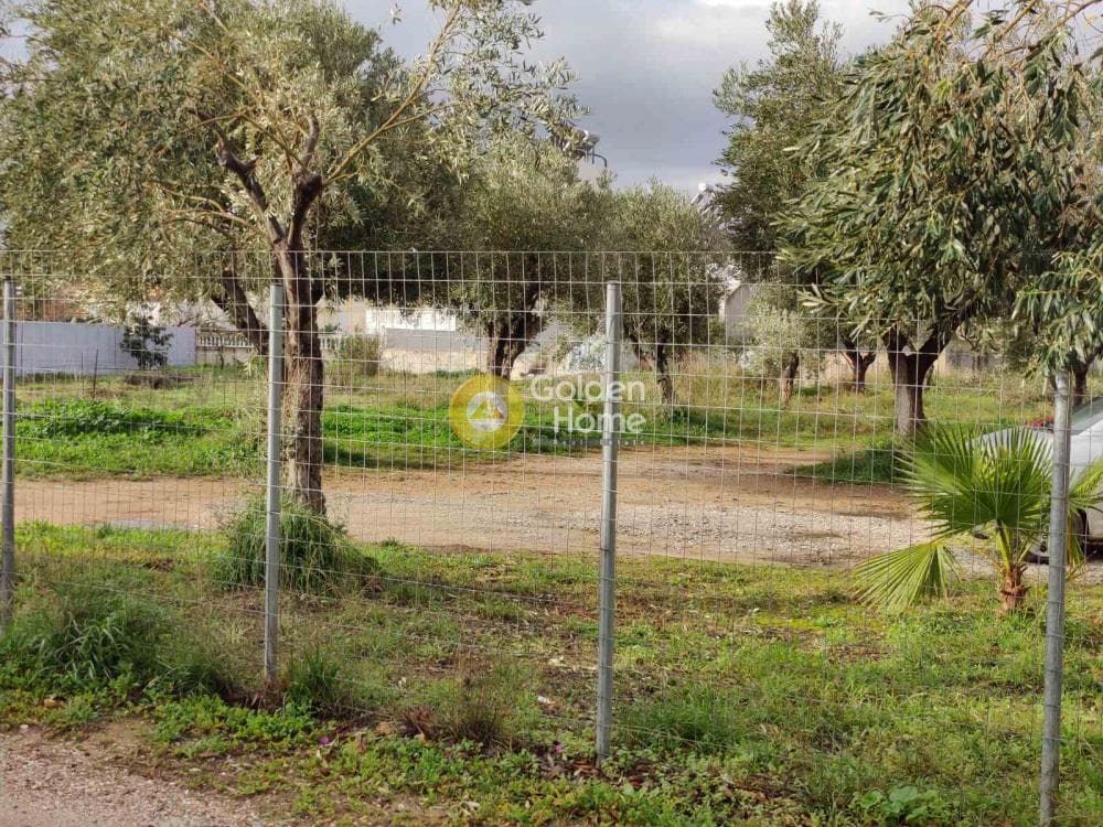 Building Plot in Agios Serafeim, Artemida (Loutsa) — Photo 4 of 7