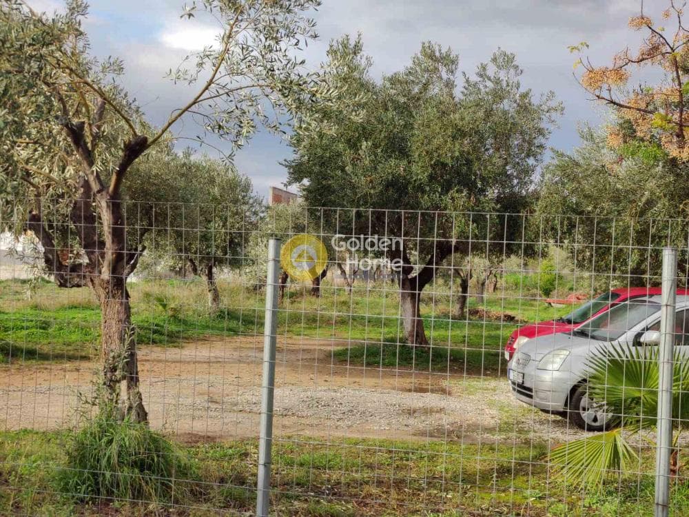 Building Plot in Agios Serafeim, Artemida (Loutsa) — Photo 5 of 7