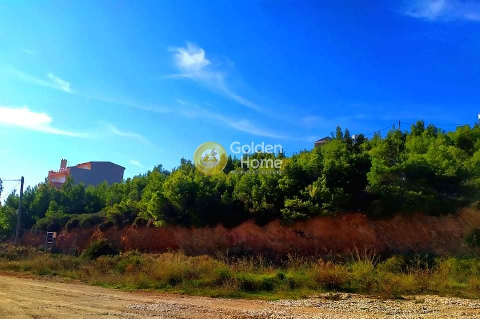 Οικόπεδο στην Δασαμάρι, Πικέρμι — Φωτογραφία 1 από 4