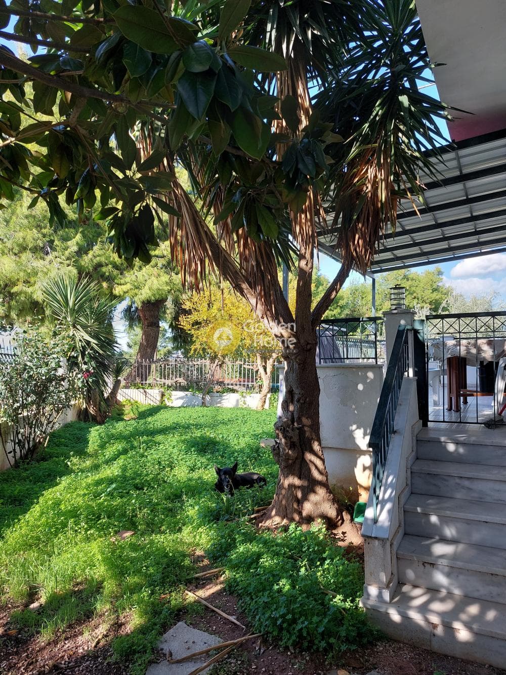 Μονοκατοικία στην Δήλεσι, Οινόφυτα — Φωτογραφία 10 από 33