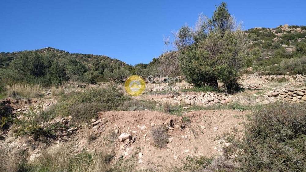Αγροτεμάχιο στην Πόρτες, Αίγινα — Φωτογραφία 3 από 3