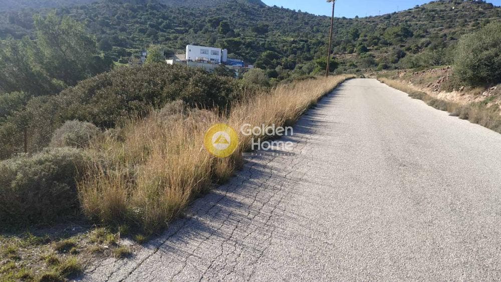 Parcel in Portes, Aegina — Photo 1 of 2