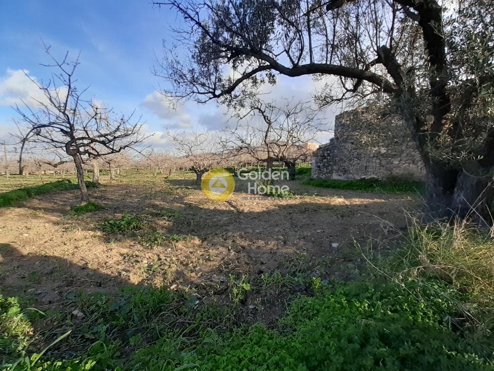 Building Plot in Kipseli, Aegina — Photo 2 of 6