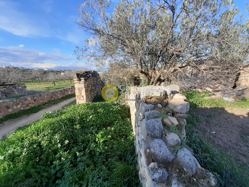 Building Plot in Kipseli, Aegina — Photo 3 of 6