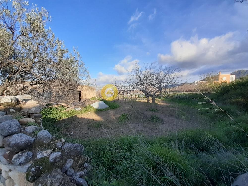 Building Plot in Kipseli, Aegina — Photo 4 of 6