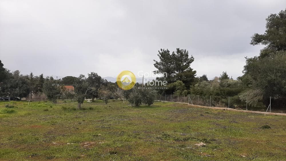 Αγροτεμάχιο στην Νταού Πεντέλη, Πικέρμι — Φωτογραφία 4 από 4