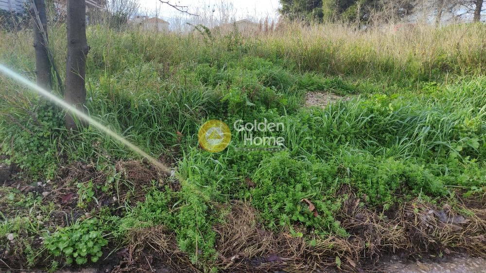 Building Plot in Gargittos, Gerakas — Photo 3 of 3