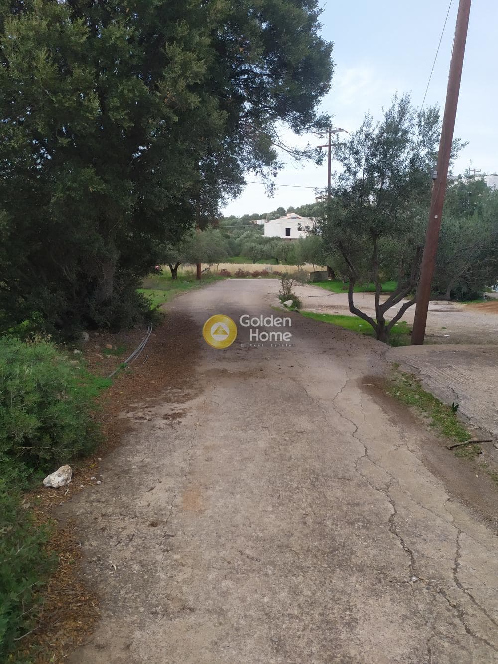 Οικόπεδο στην Άγιος Νικόλαος, Μάλλια — Φωτογραφία 7 από 24