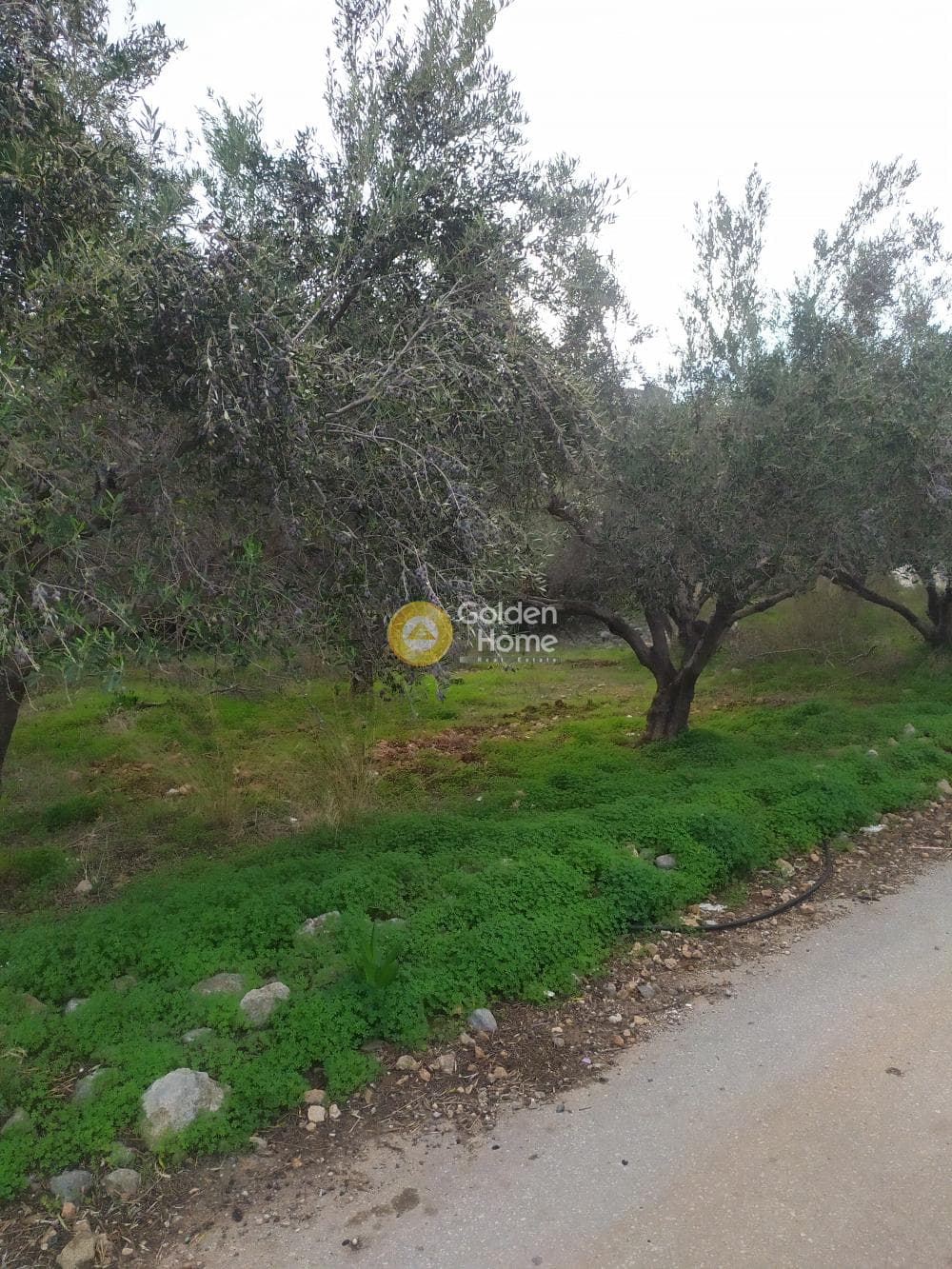 Οικόπεδο στην Άγιος Νικόλαος, Μάλλια — Φωτογραφία 8 από 24