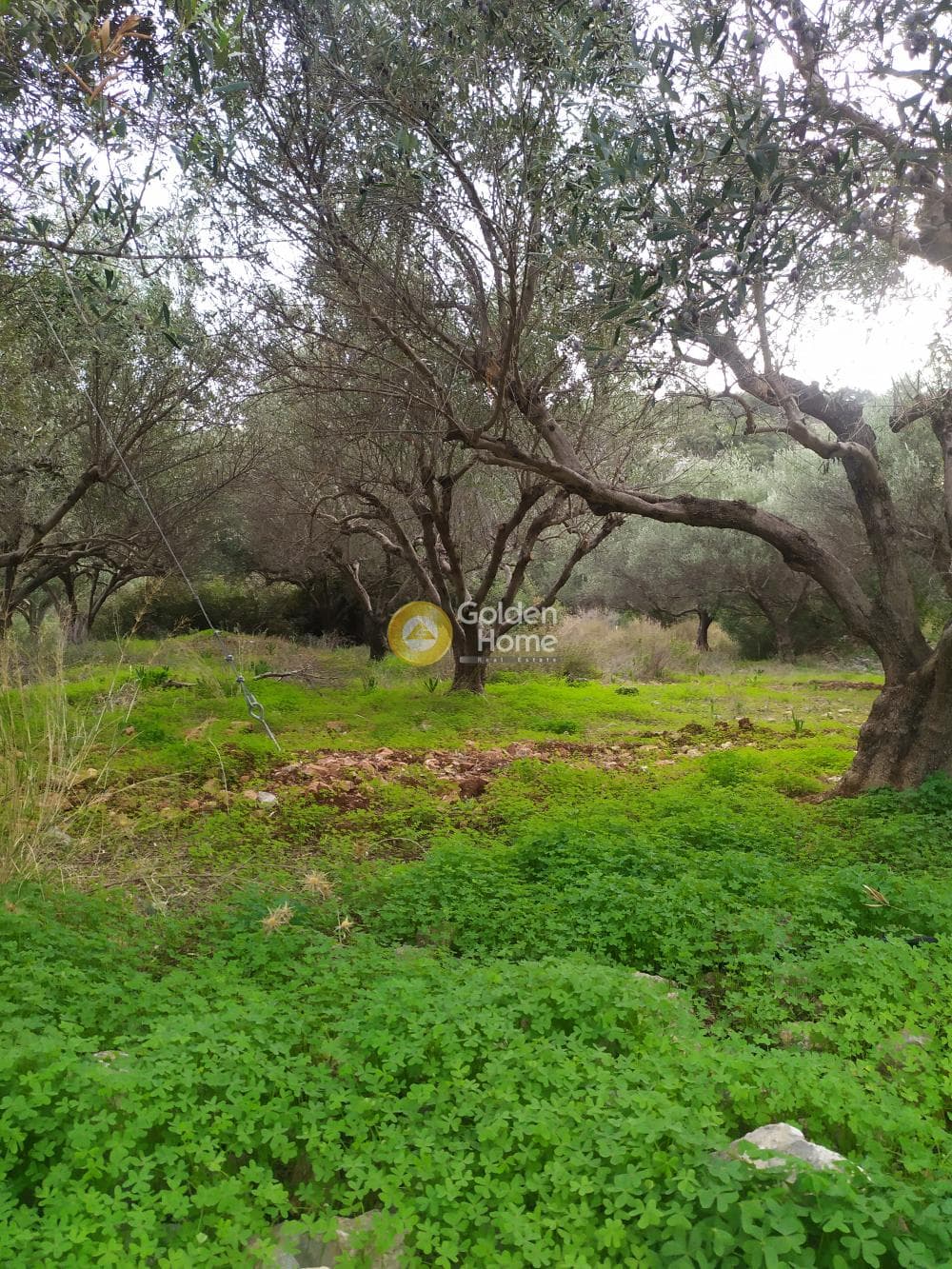 Οικόπεδο στην Άγιος Νικόλαος, Μάλλια — Φωτογραφία 12 από 24