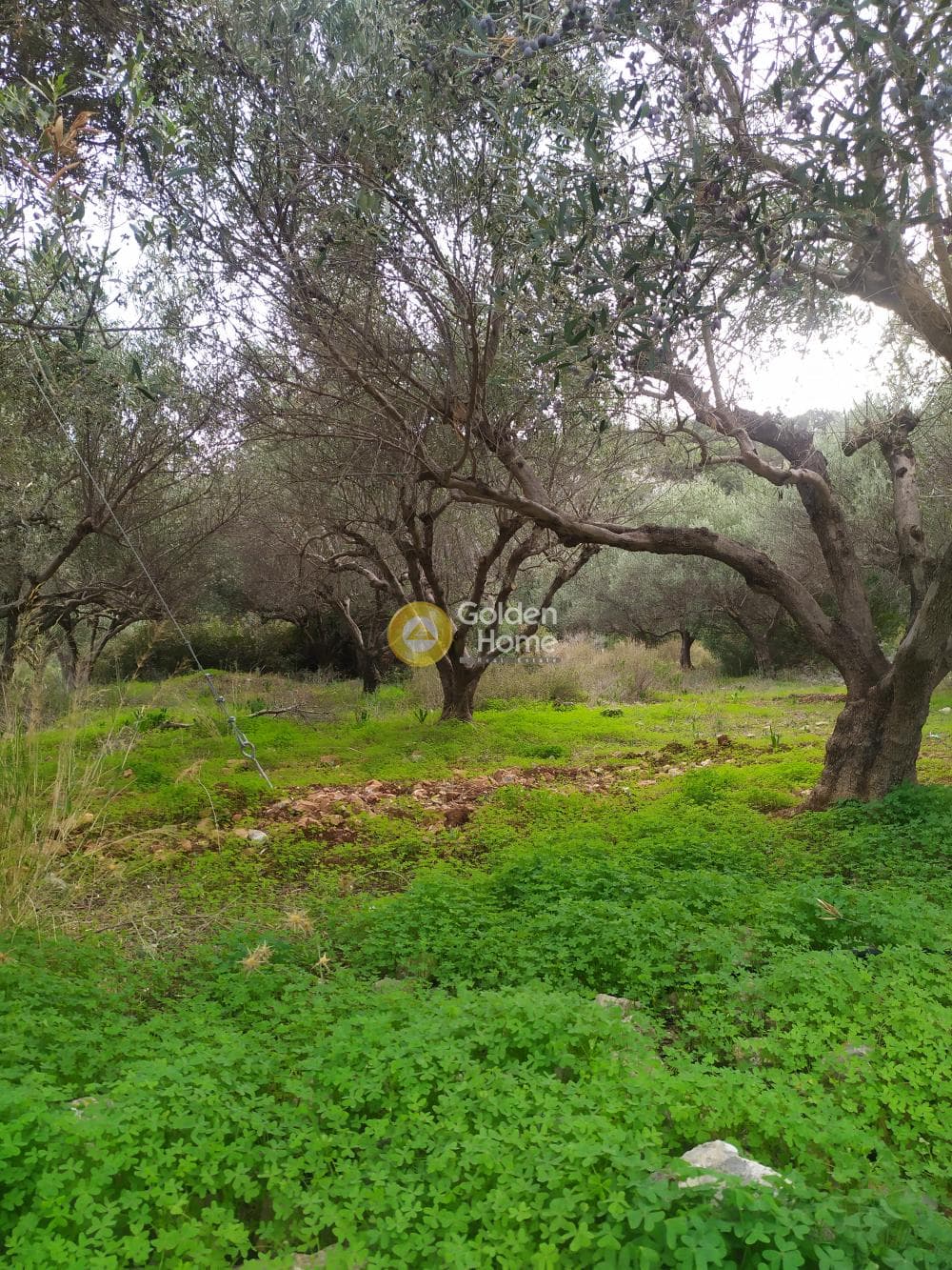 Οικόπεδο στην Άγιος Νικόλαος, Μάλλια — Φωτογραφία 13 από 24