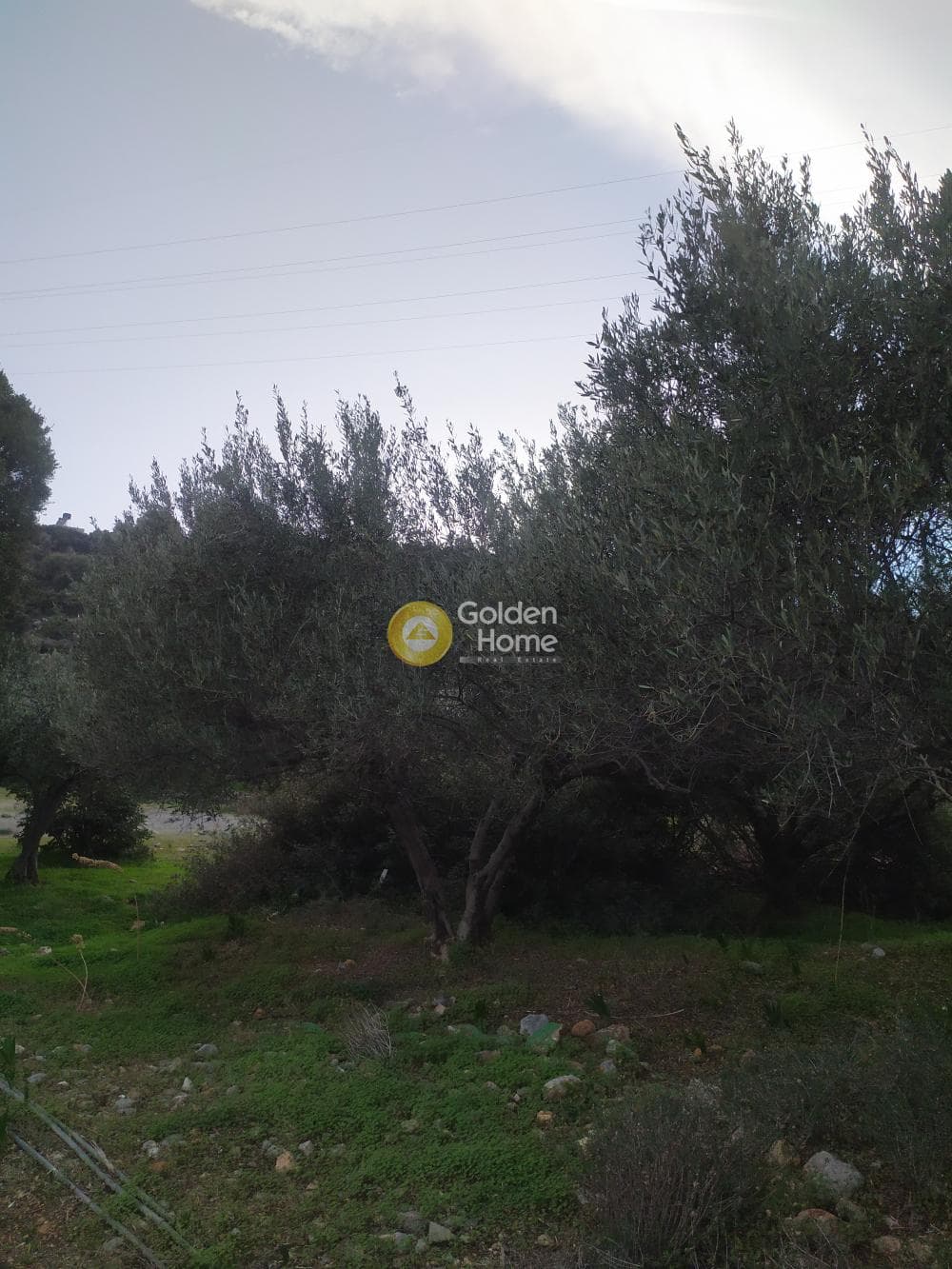 Οικόπεδο στην Άγιος Νικόλαος, Μάλλια — Φωτογραφία 14 από 24