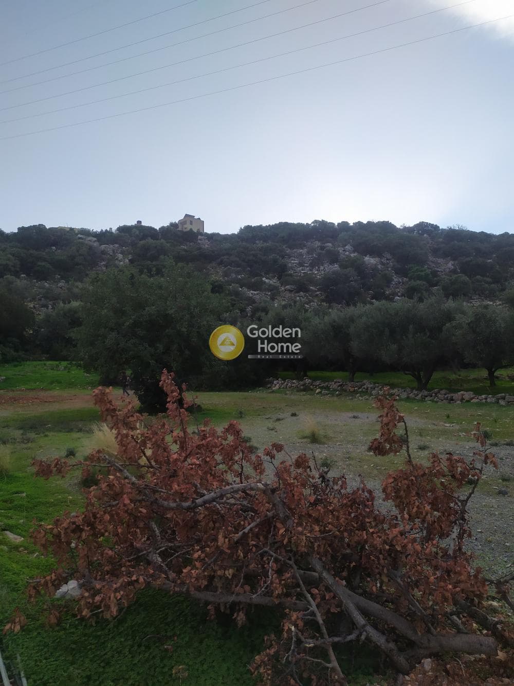 Οικόπεδο στην Άγιος Νικόλαος, Μάλλια — Φωτογραφία 15 από 24