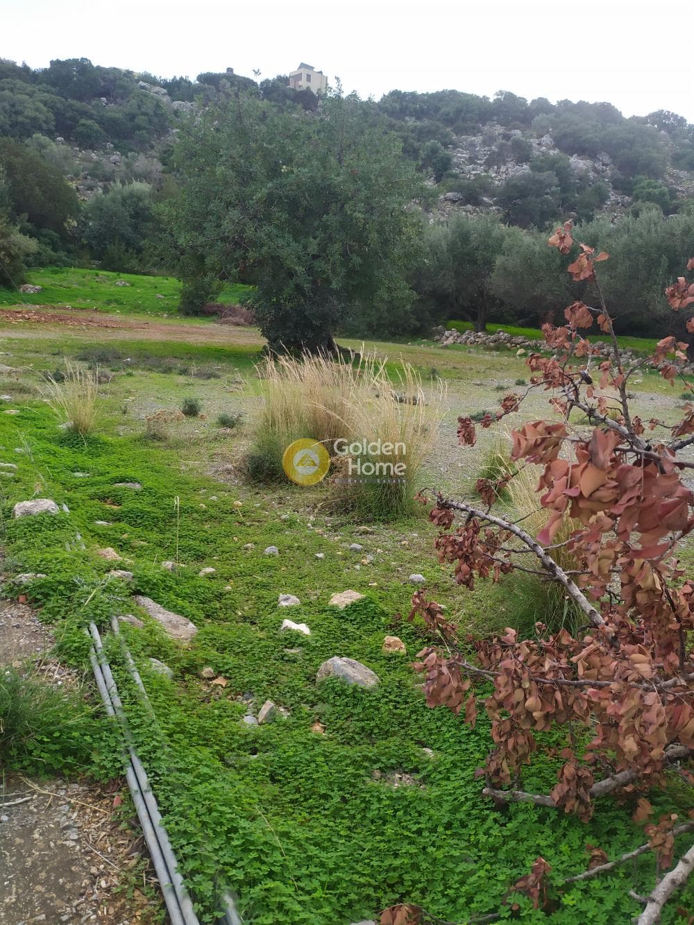 Οικόπεδο στην Άγιος Νικόλαος, Μάλλια — Φωτογραφία 22 από 24