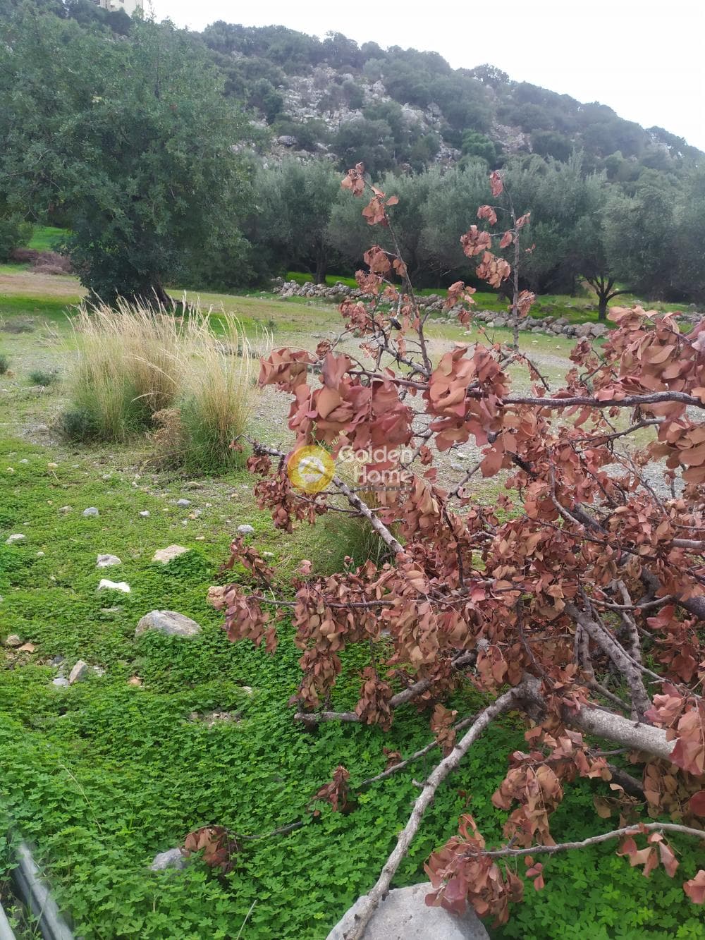 Οικόπεδο στην Άγιος Νικόλαος, Μάλλια — Φωτογραφία 23 από 24
