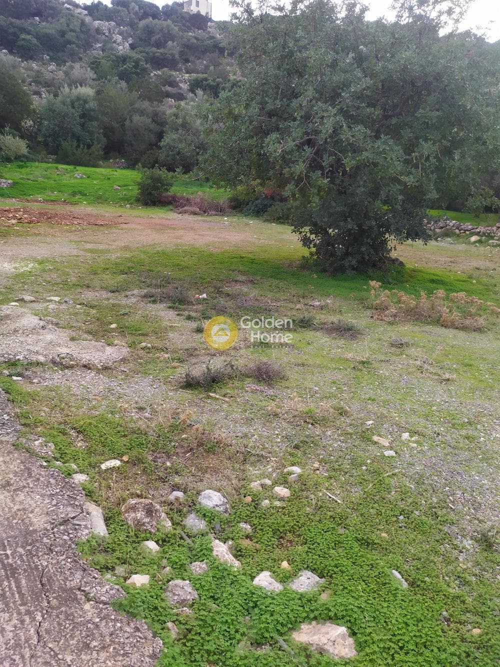 Οικόπεδο στην Άγιος Νικόλαος, Μάλλια — Φωτογραφία 24 από 24