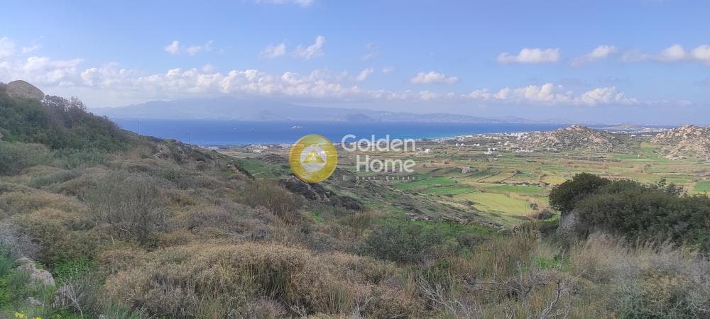 Parcel in Plaka, Naxos — Photo 5 of 13