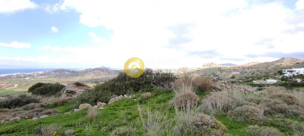 Parcel in Plaka, Naxos — Photo 11 of 13
