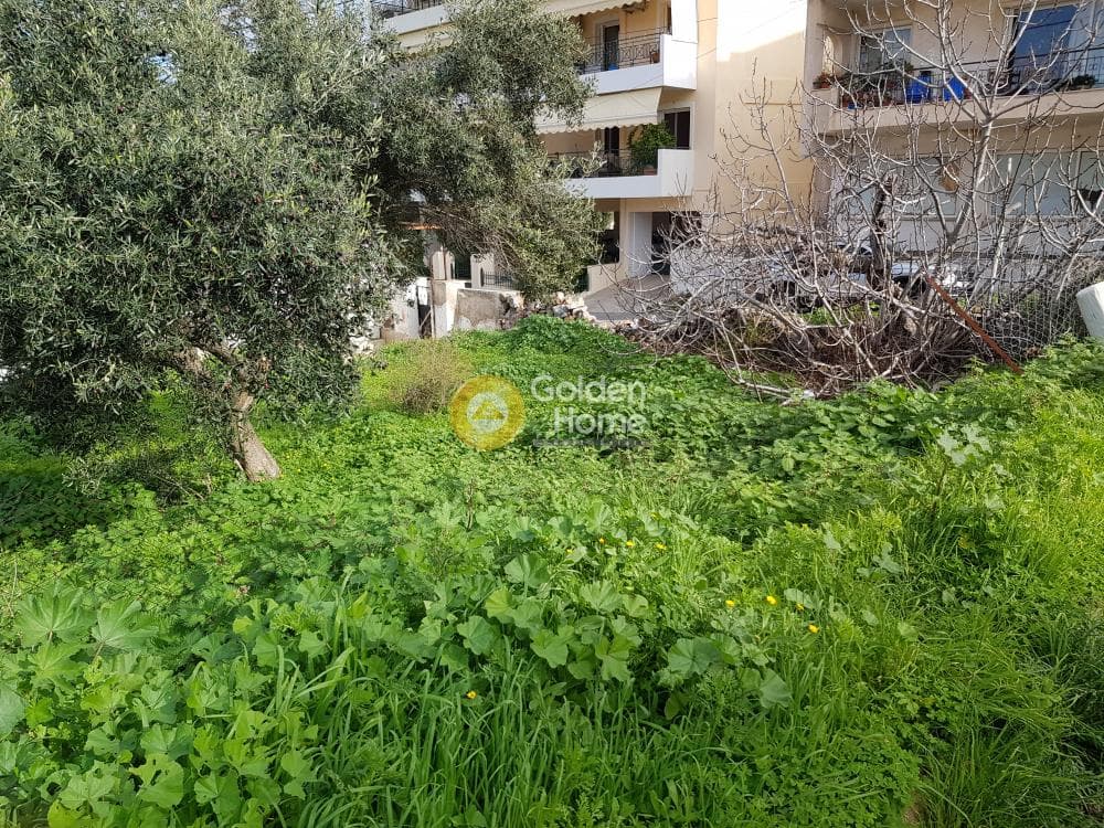 Οικόπεδο στην Άνω Θορικό, Λαύριο — Φωτογραφία 2 από 3
