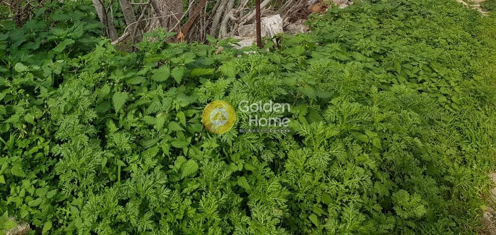 Οικόπεδο στην Άνω Θορικό, Λαύριο — Φωτογραφία 3 από 3