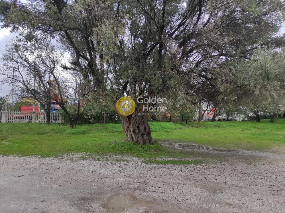 Οικόπεδο στην Αγία Τριάδα, Παιανία — Φωτογραφία 2 από 2