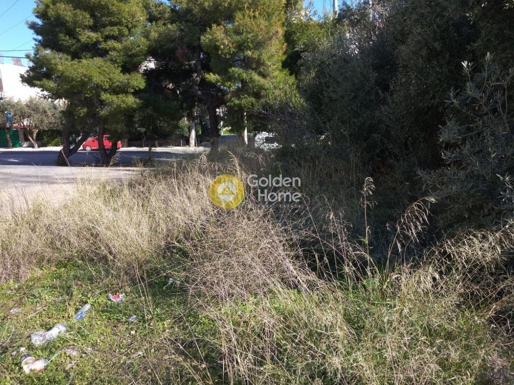 Οικόπεδο στην Μεγάλα Σχοινία Α, Αχαρνές — Φωτογραφία 4 από 6