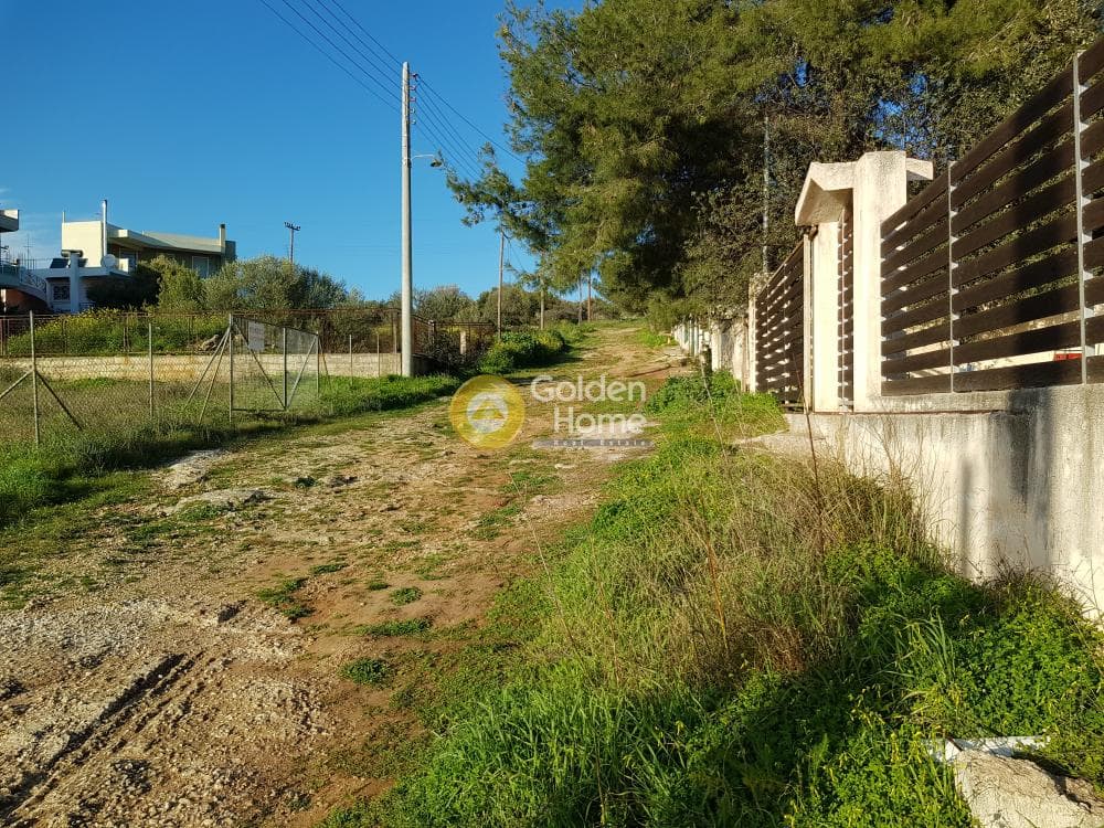 Building Plot in Agios Minas, Artemida (Loutsa) — Photo 4 of 4