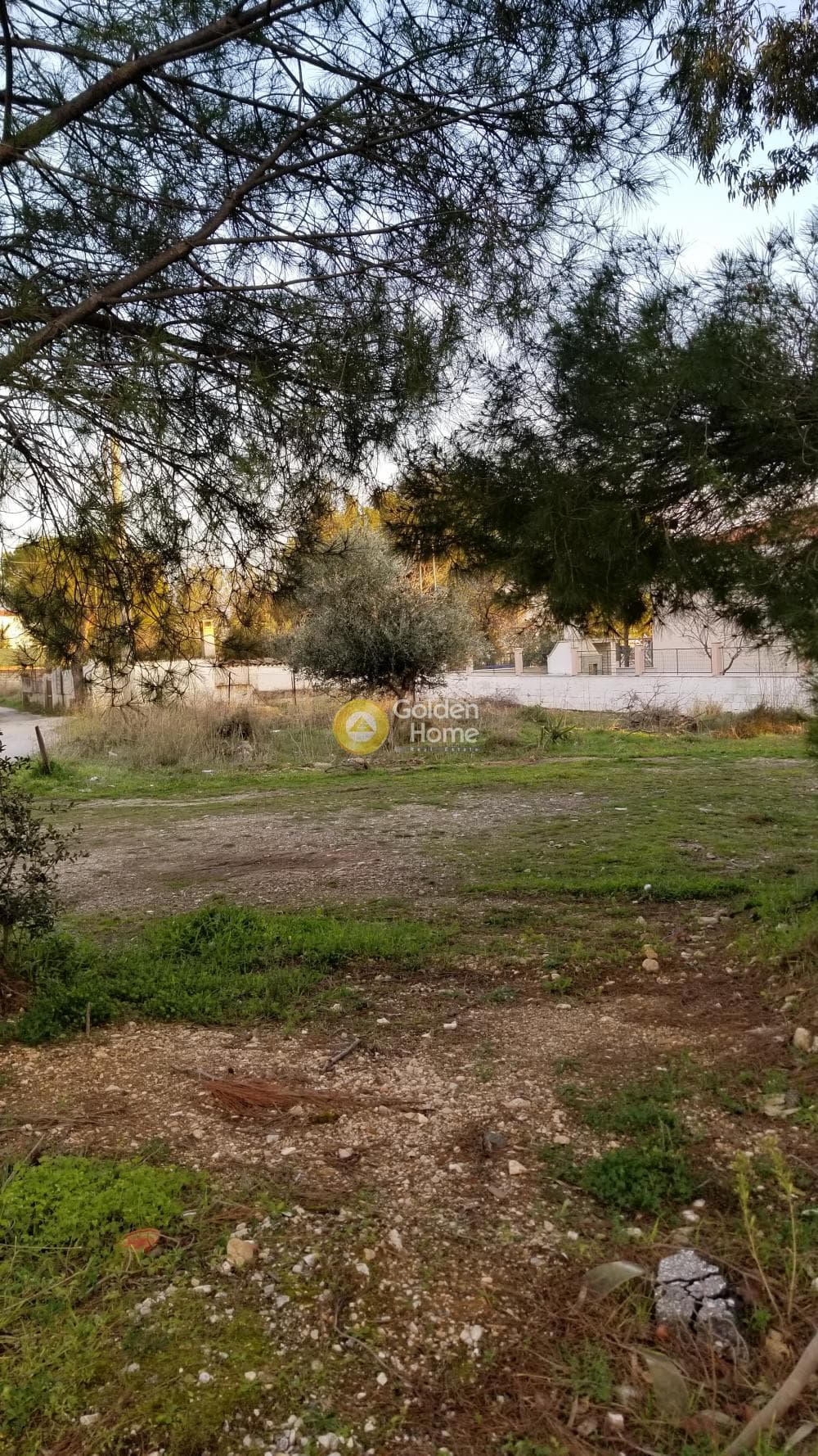 Parcel in Megala Sxoinia A, Acharnes — Photo 3 of 3
