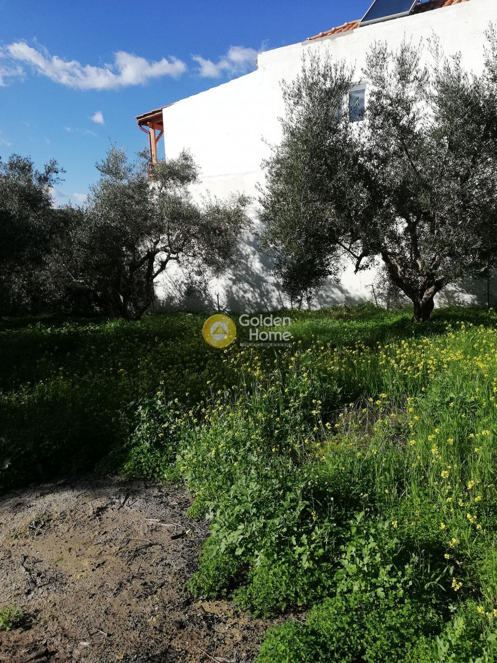 Building Plot in Elia, Episkopi — Photo 7 of 11