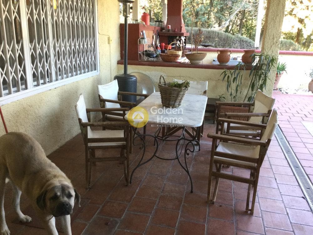 House in Plagiari, Mikra — Photo 55 of 64