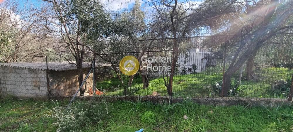 Οικόπεδο στην Καλογερικό, Παλλήνη — Φωτογραφία 2 από 7