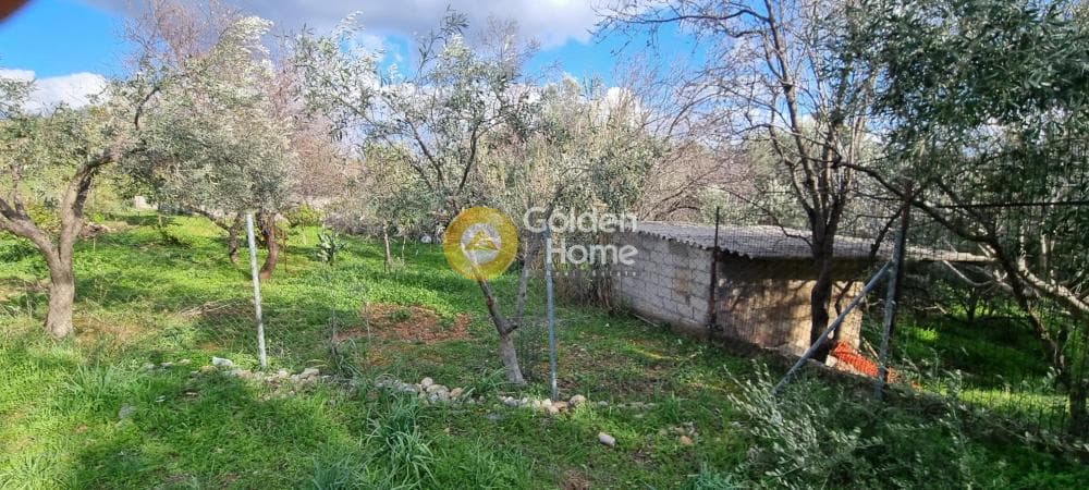 Οικόπεδο στην Καλογερικό, Παλλήνη — Φωτογραφία 3 από 7