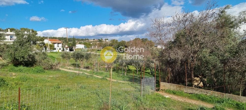 Οικόπεδο στην Καλογερικό, Παλλήνη — Φωτογραφία 5 από 7