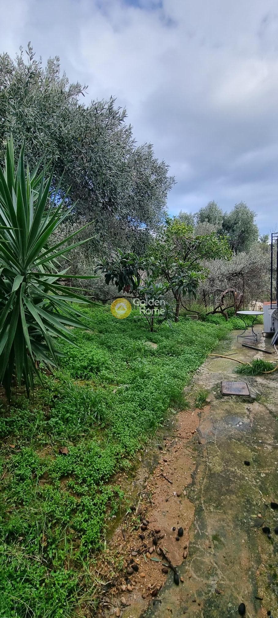 House in Kalogeriko, Pallini — Photo 24 of 24