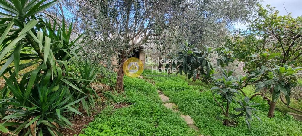 House in Kalogeriko, Pallini — Photo 23 of 24