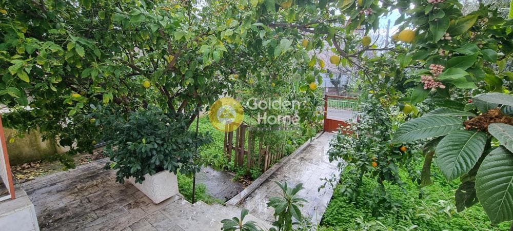House in Kalogeriko, Pallini — Photo 1 of 24