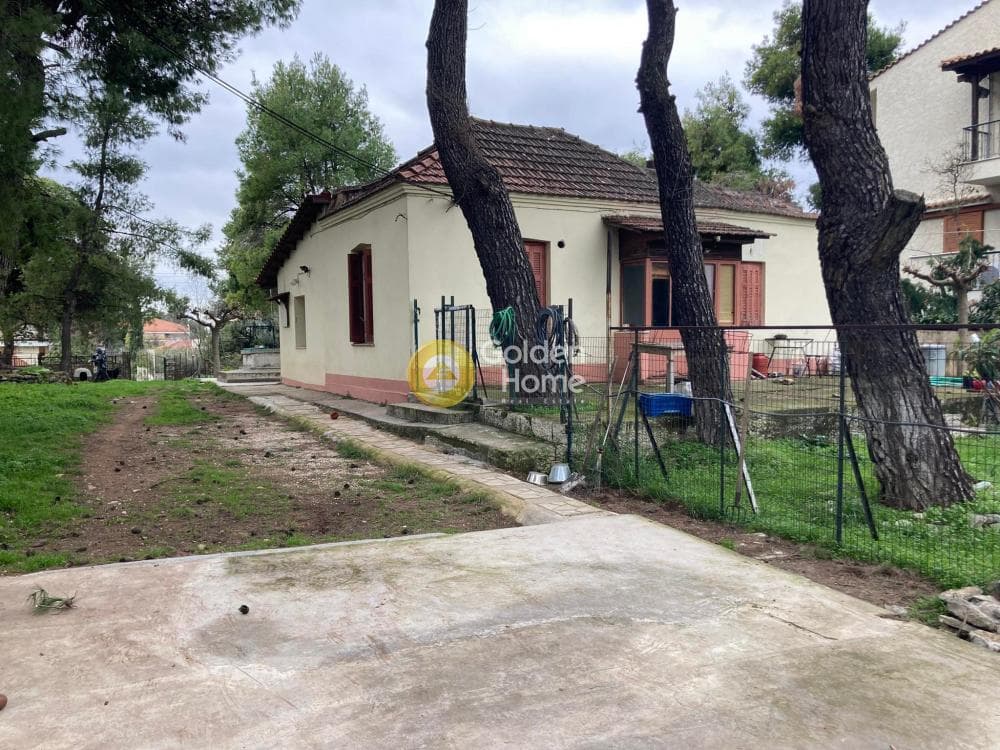 Μονοκατοικία στην Δροσιά, Δροσιά — Φωτογραφία 1 από 4