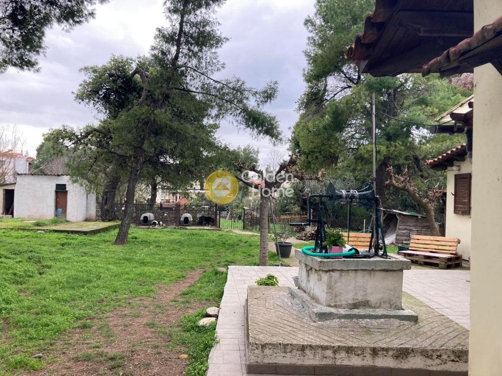 Μονοκατοικία στην Δροσιά, Δροσιά — Φωτογραφία 3 από 4