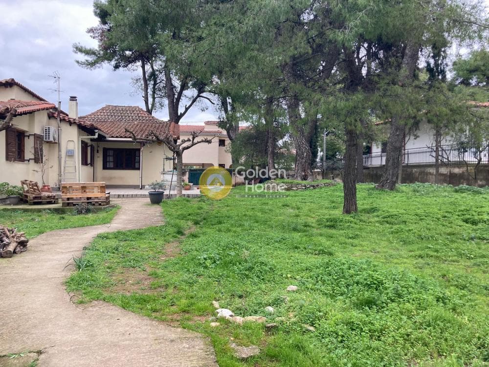 Μονοκατοικία στην Δροσιά, Δροσιά — Φωτογραφία 4 από 4